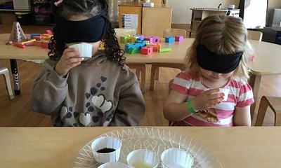 Exploring things through different senses