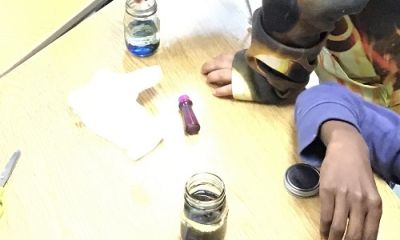 Science Experiment
