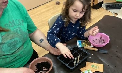 Exploring Spring and Caring for Our Earth