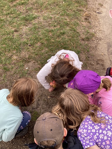 Studying the worms close up