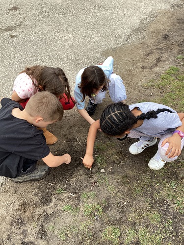 Searching for more worms outside
