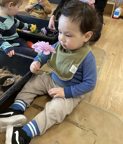 An infant sitting on the ground looking at a flower in his hand