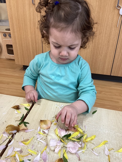 A toddler child exploring flower petal