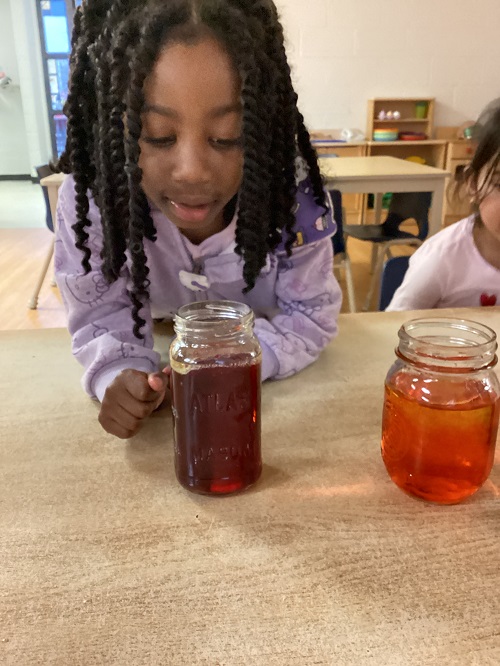 child examining a glass jar with food colouring water and oil mixture in it