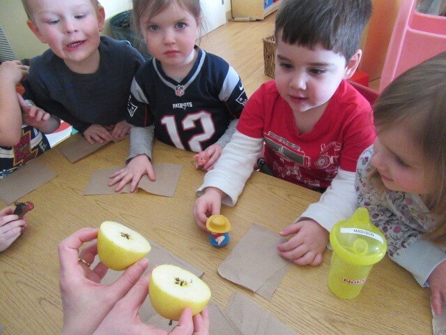 looking at an apple
