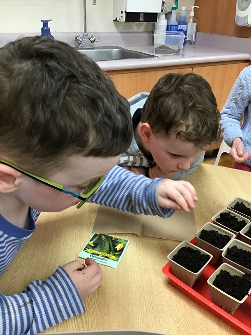 children placing seeds into tiny containers