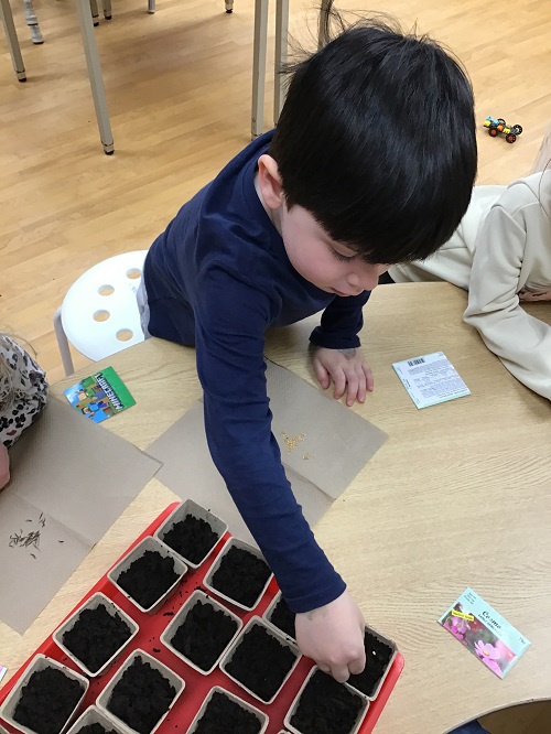 child placing a seed into soil